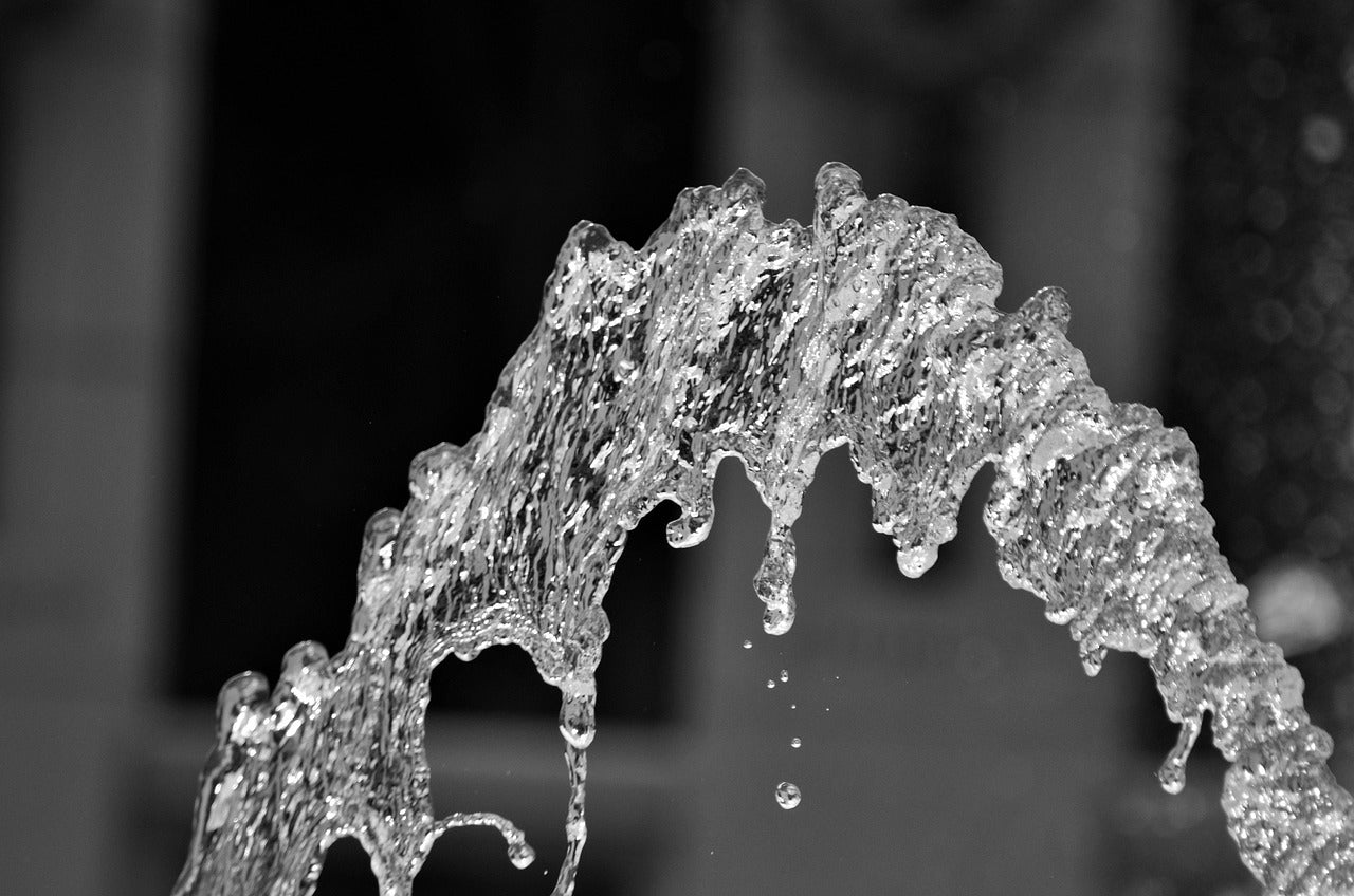 Water and Puddle Pumps